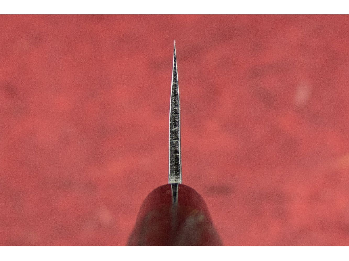 Fujimoto Nashiji Santoku 165mm from Fujimoto