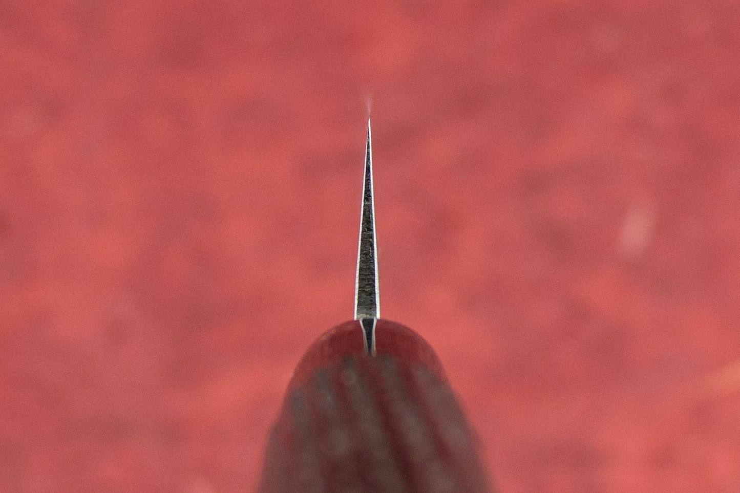 Fujimoto Nashiji Sujihiki 270mm from Fujimoto