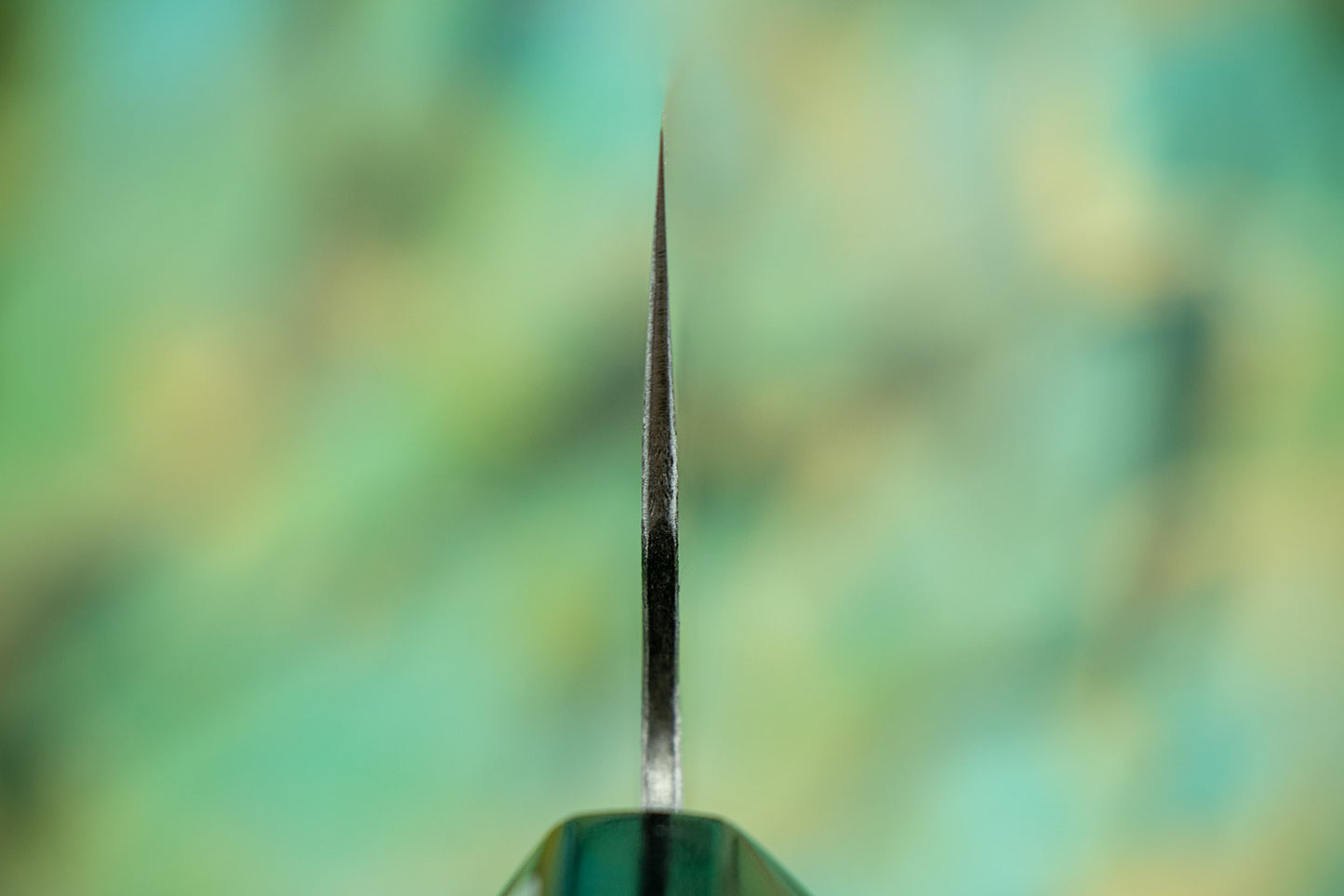 Fujiwara Wa Denka Gyuto 210mm from Teruyasu Fujiwara