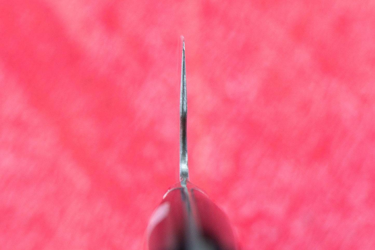 Fujiwara Maboroshi Gyuto 195mm from Teruyasu Fujiwara