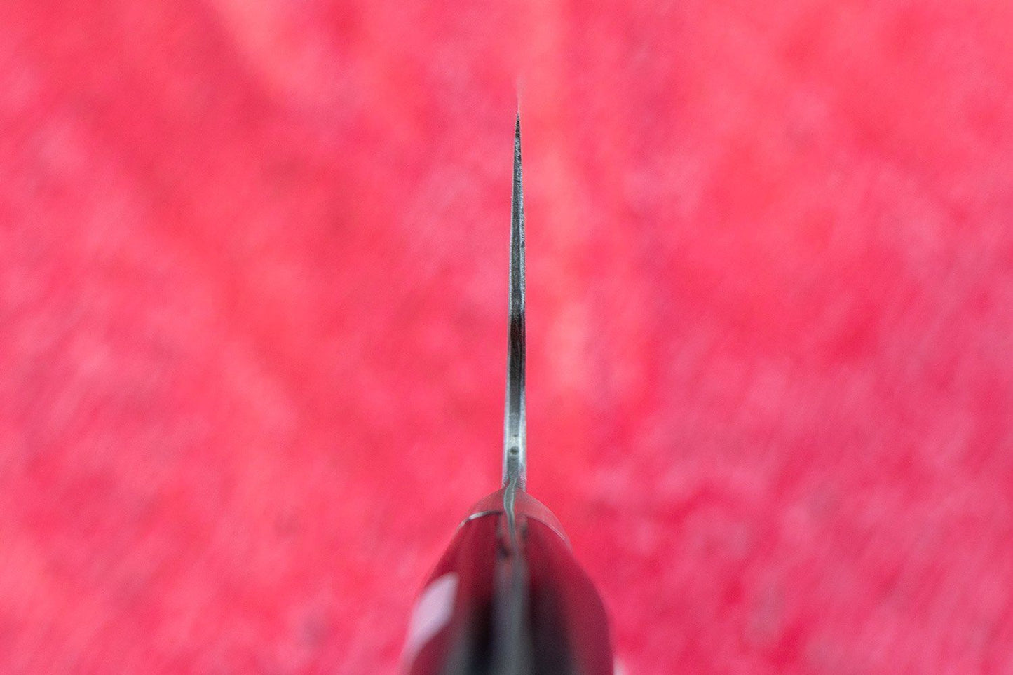 Fujiwara Maboroshi Gyuto 210mm from Teruyasu Fujiwara