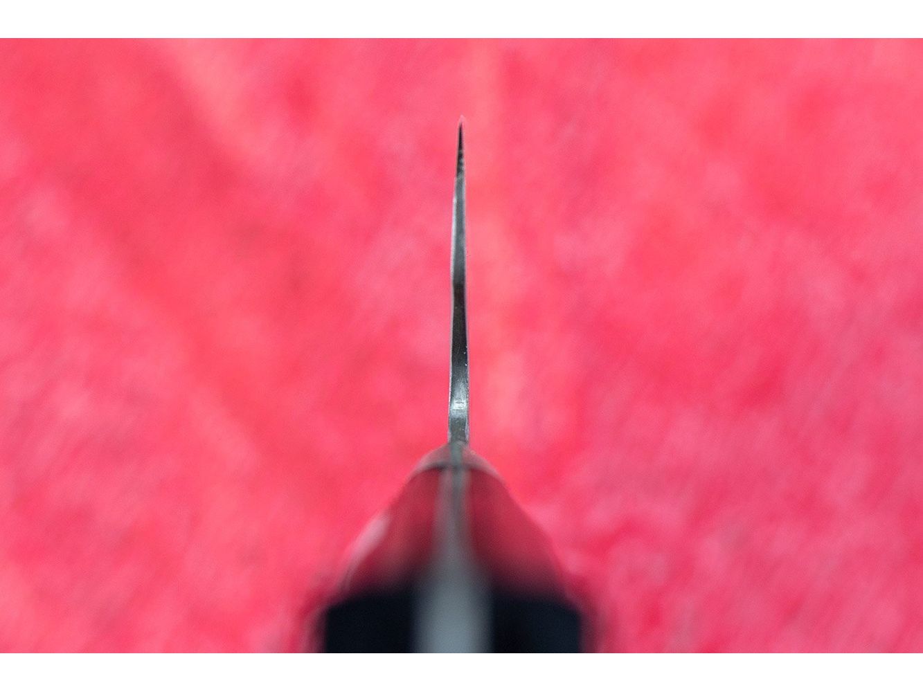 Fujiwara Maboroshi Gyuto 240mm from Teruyasu Fujiwara