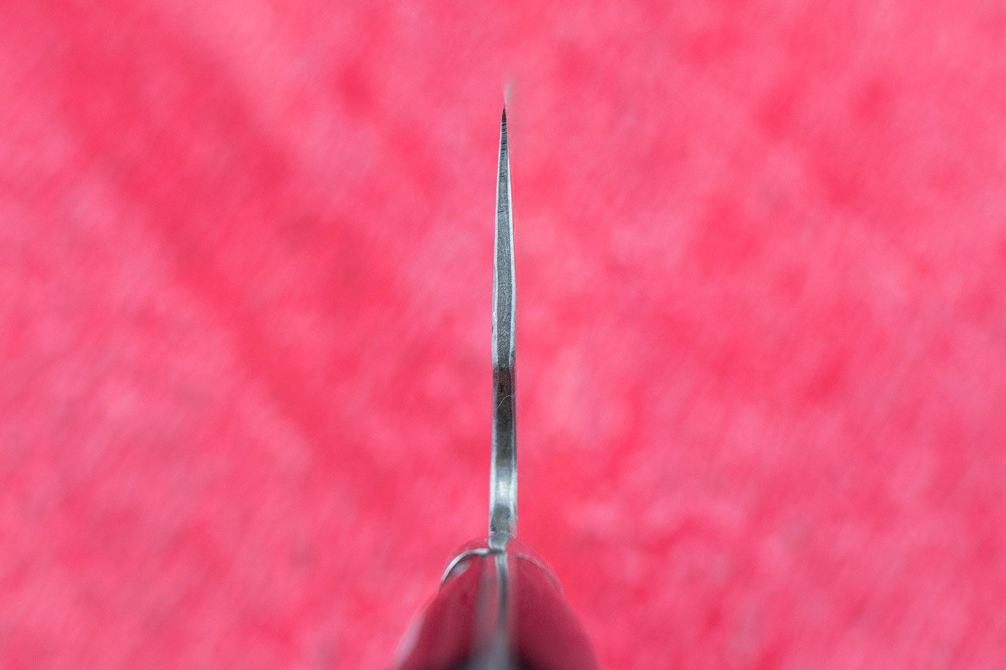 Fujiwara Maboroshi Nakiri 195mm from Teruyasu Fujiwara