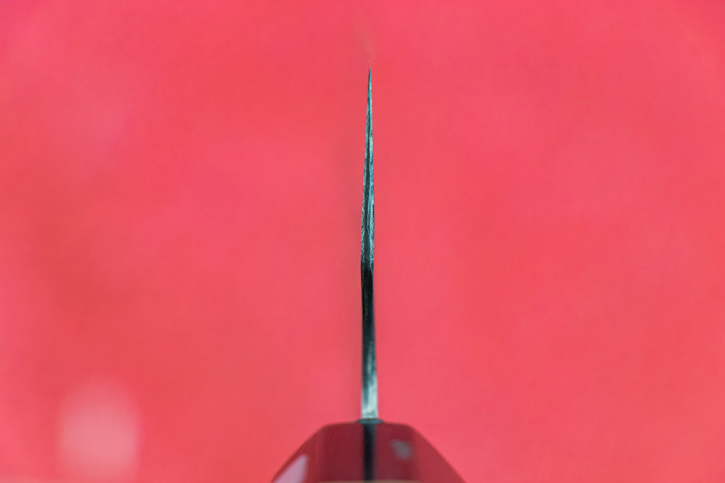 Fujiwara Maboroshi Wa Gyuto 240mm from Teruyasu Fujiwara