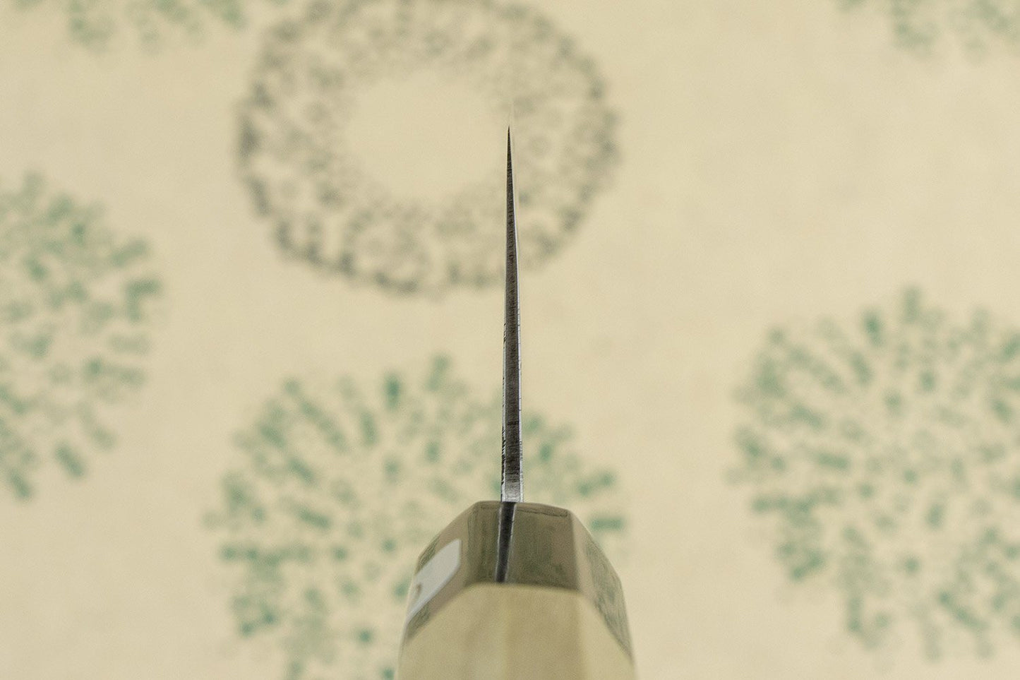 Fujiwara Nashiji Gyuto 240mm from Teruyasu Fujiwara