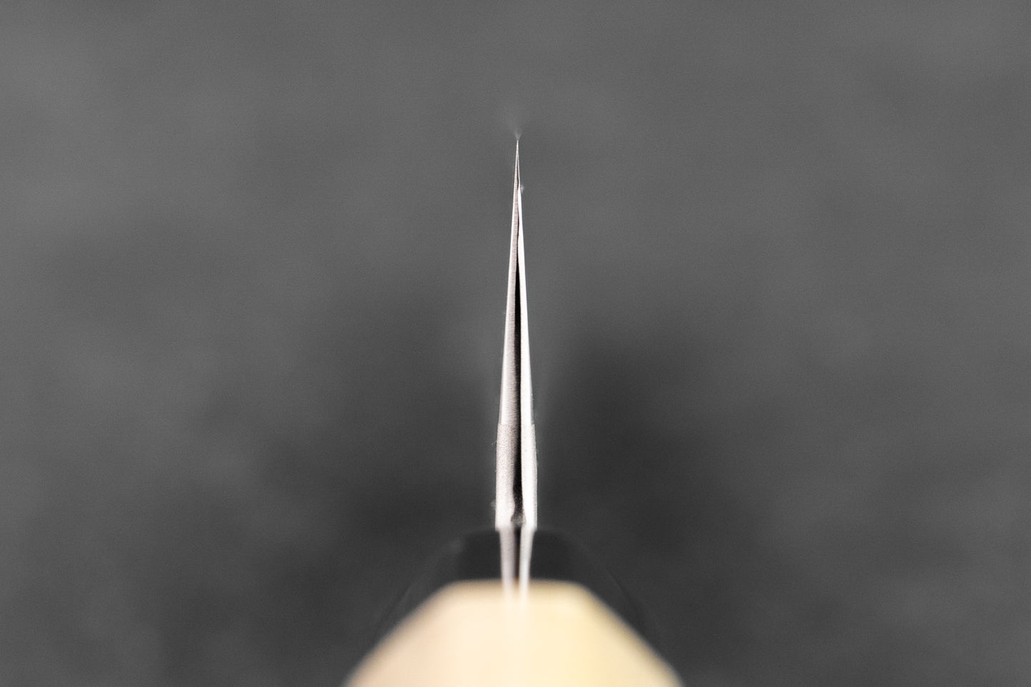 Sakai Kikumori Kikuzuki Rin Gyuto 240mm from Sakai Kikumori