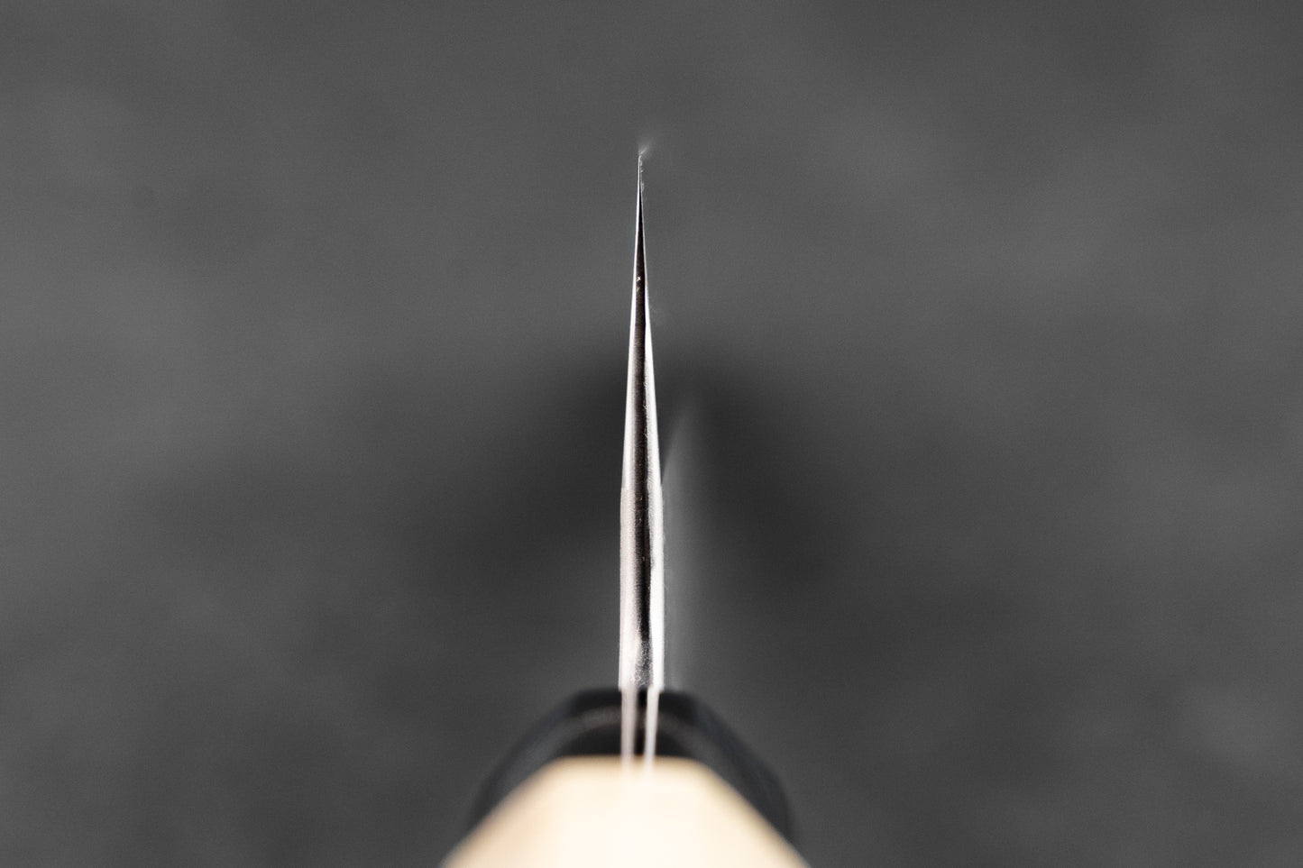 Sakai Kikumori Kikuzuki Rin Gyuto 210mm from Sakai Kikumori