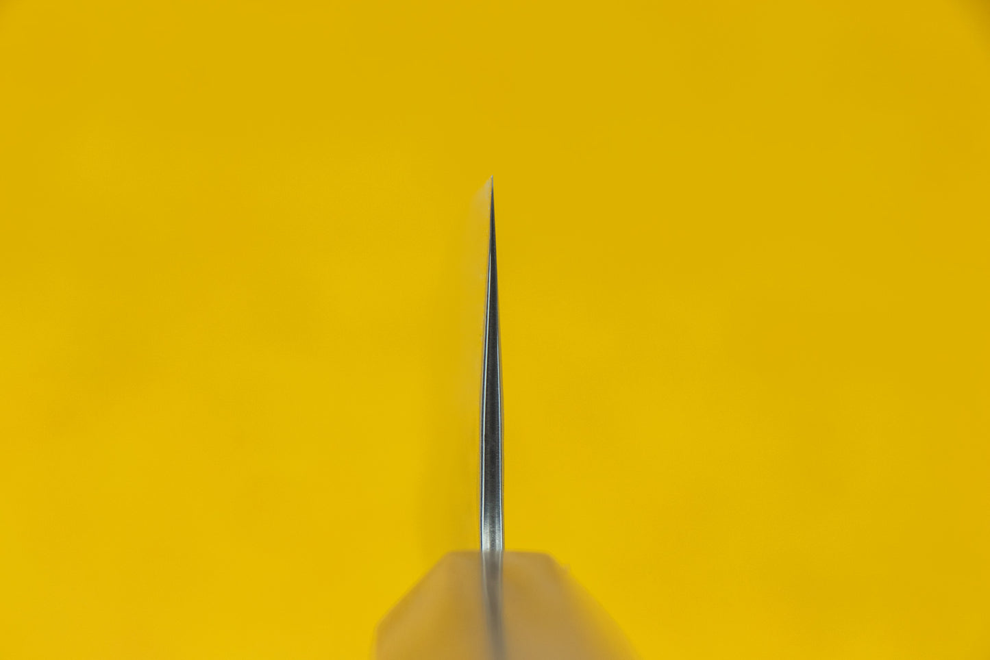 Haruyuki Nagisa Gyuto 210mm from Haruyuki