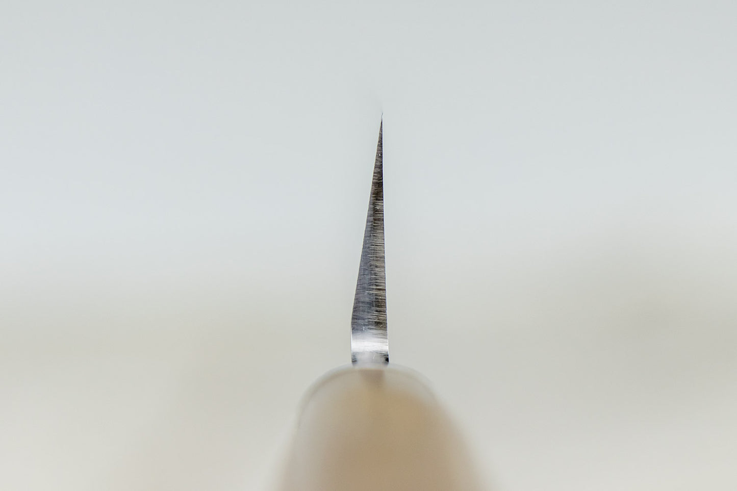 Tadafusa Hocho Kobo HK-7 Yanagiba 210mm from Tadafusa