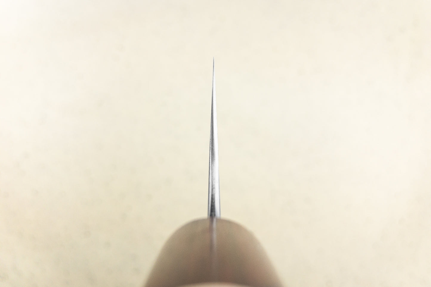 Masakage Kiri Gyuto 210mm from Masakage