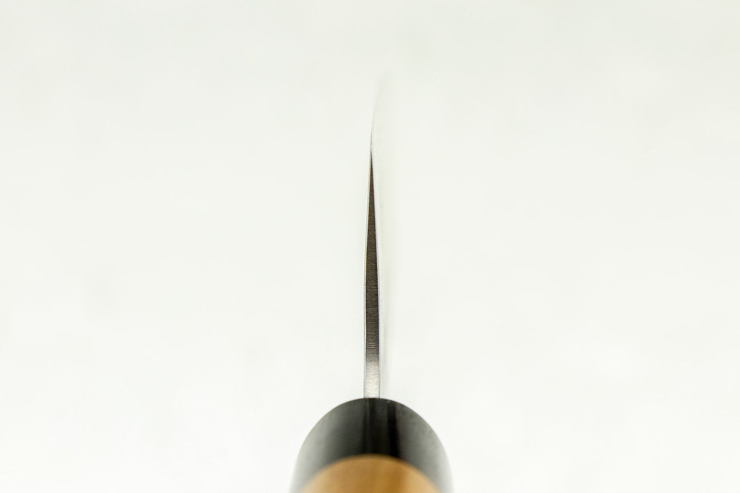 Haruyuki Kokuto Gyuto 210mm from Haruyuki