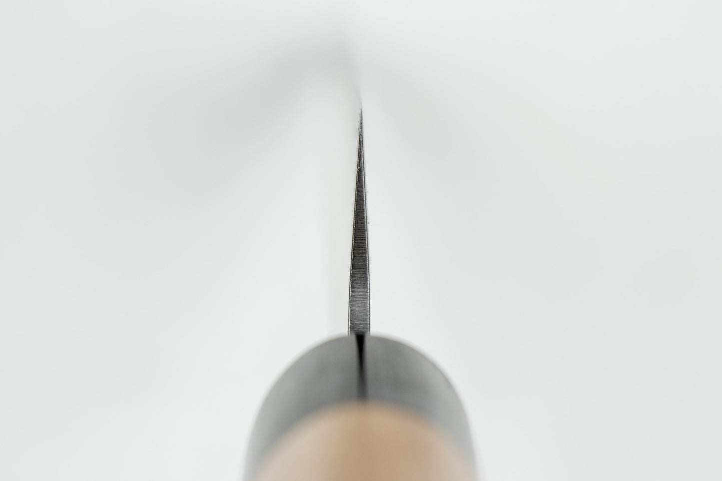 Haruyuki Kokuto Sujihiki 240mm from Haruyuki