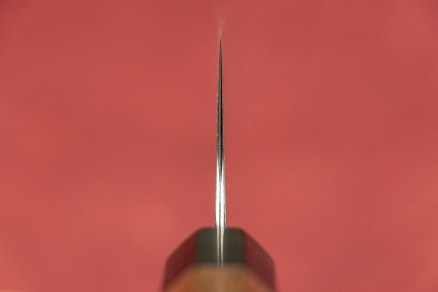 Shibata Koutetsu Type 3 AS Migaki Gyuto 210mm from Koutetsu