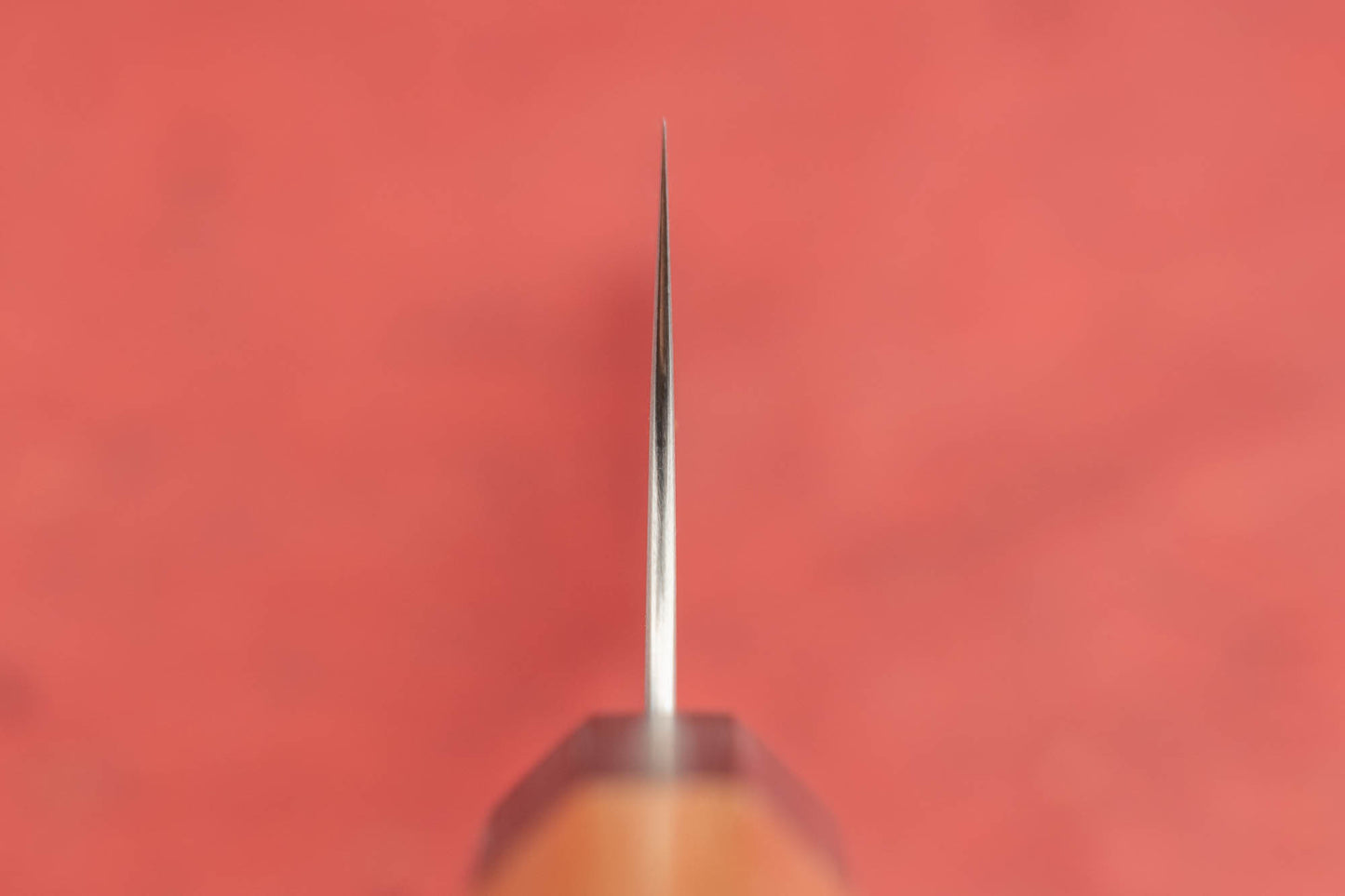 Shibata Koutetsu R2 Migaki Gyuto 210mm from Koutetsu