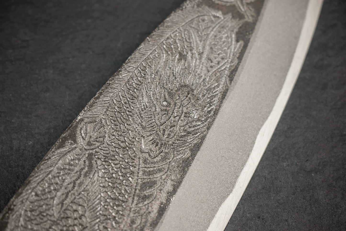 Sakai Takayuki Michiko Special Engraved Kurouchi Deba 210mm "Dragon" from Sakai Takayuki