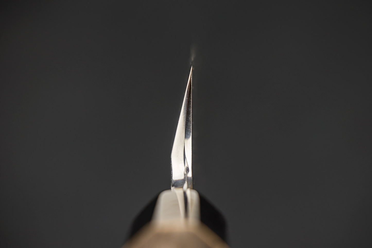 Masashi Shirogami Sakimaru Takobiki 300mm from Masashi Yamamoto