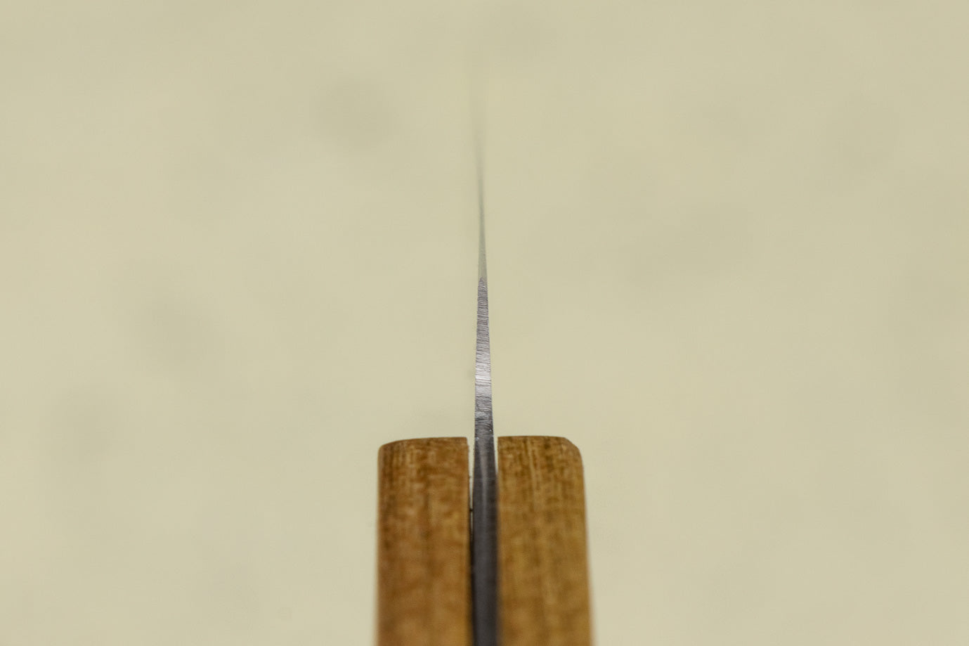 Shizu Hamono Morinoki Petty 120mm from Shizu Hamono