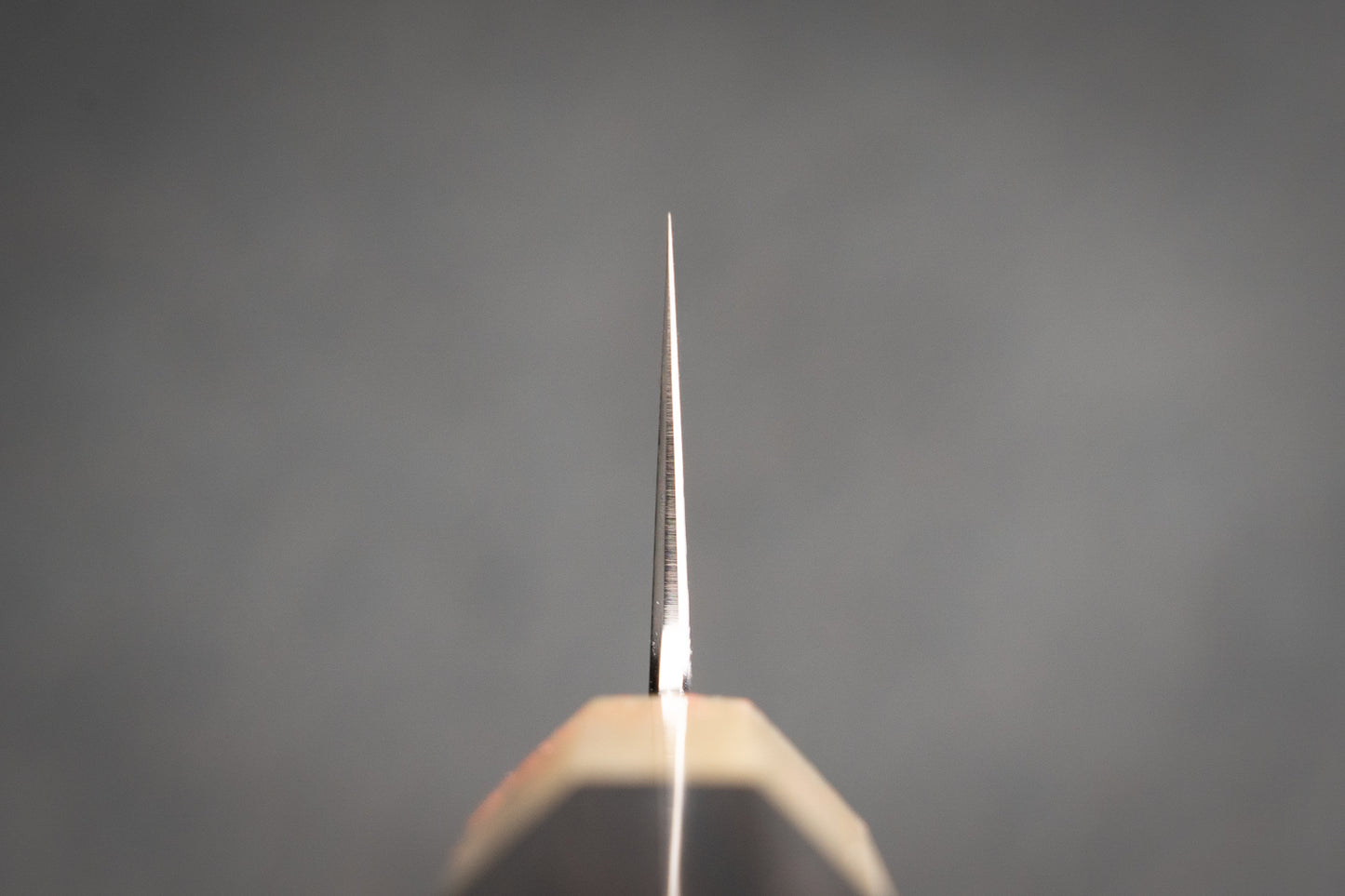 Satoshi Nakagawa x Naohito Myojin Aoichi Damascus Kiritsuke Gyuto 210mm from Nakagawa Hamono