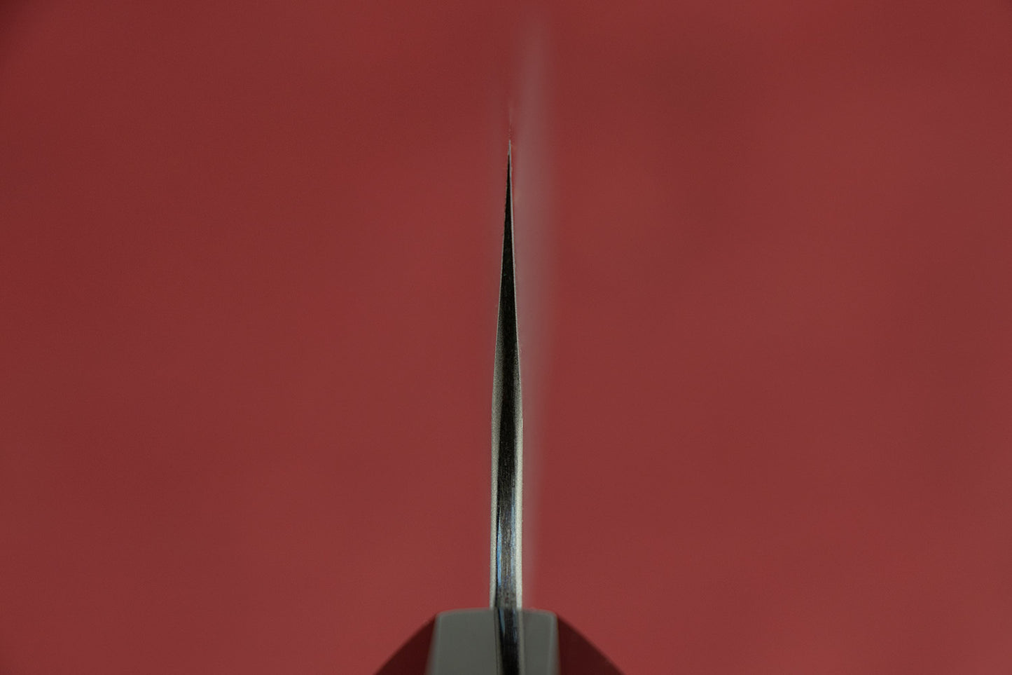 Nigara AS/S Tsuchime Kiritsuke Gyuto 240mm from Nigara Hamono