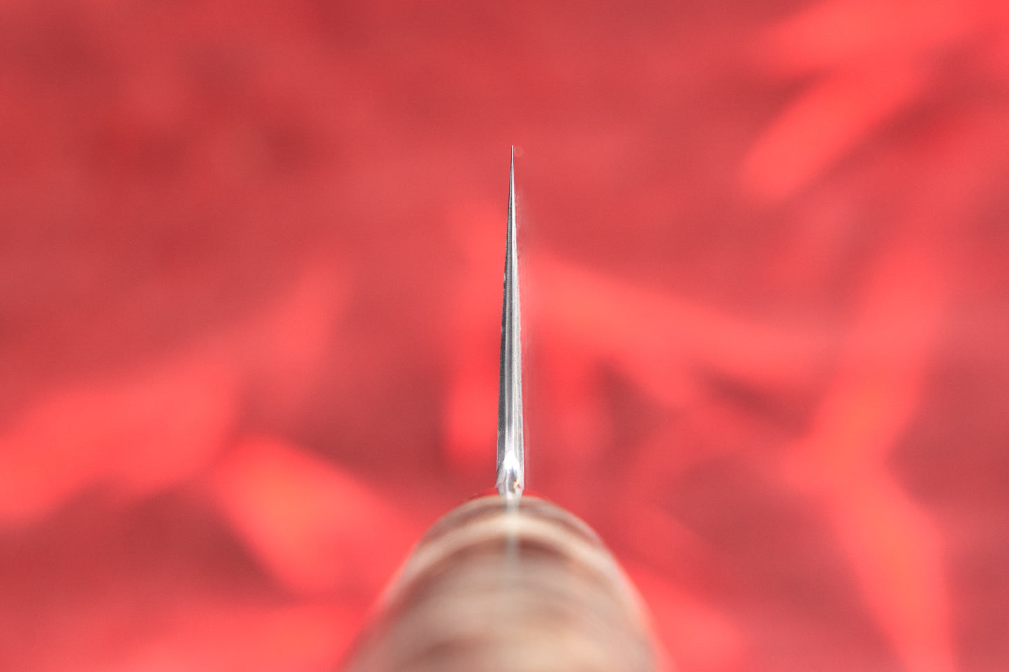 Ryusen Oukokuryu Gyuto 210mm from Ryusen