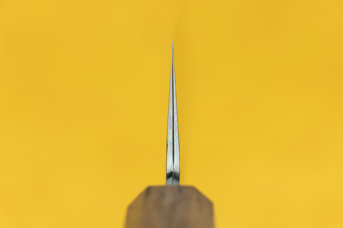 Hado Sakai Sumi Gyuto 210mm from Hado Sakai