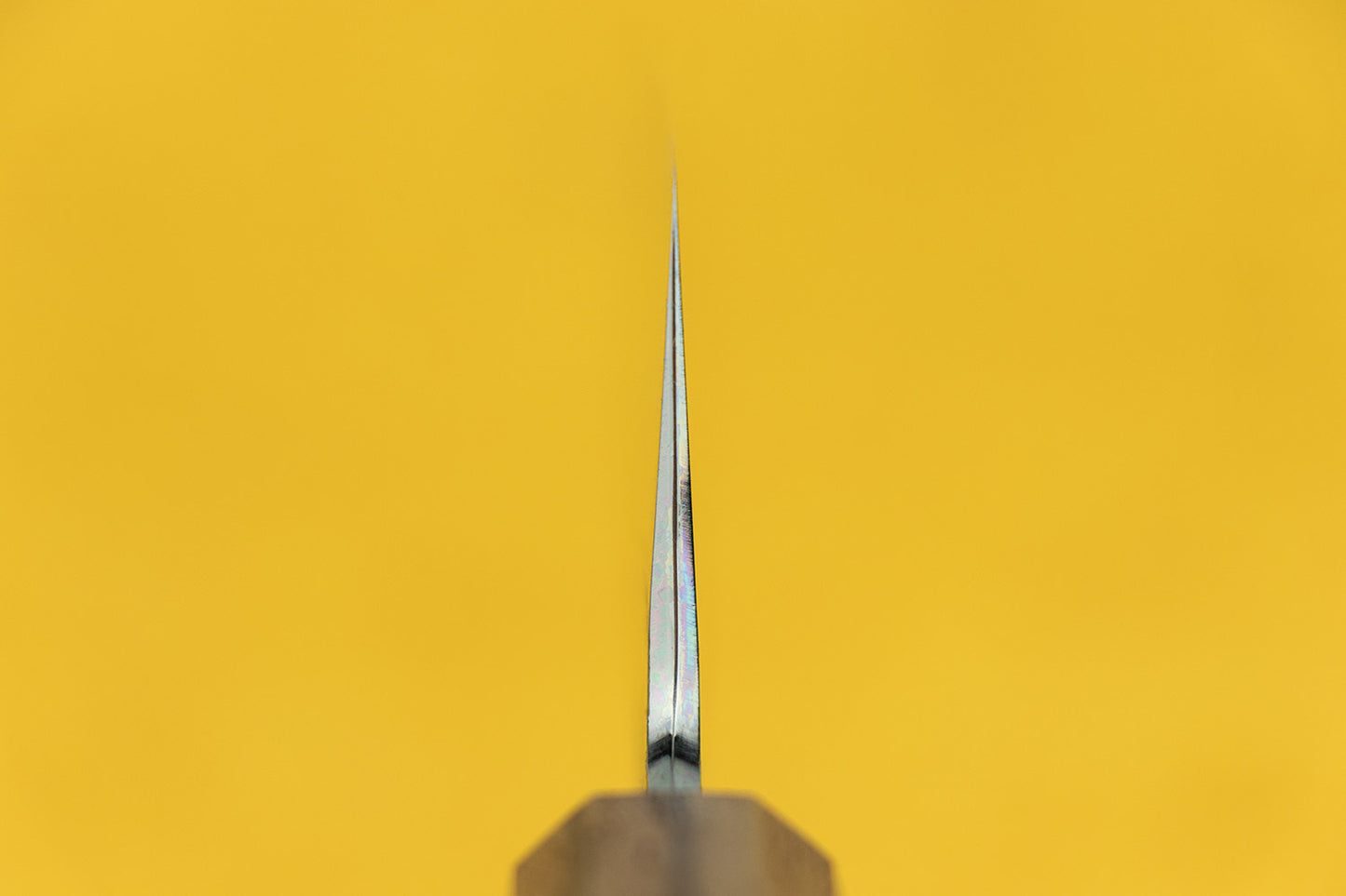 Hado Sakai Sumi Gyuto 240mm from Hado Sakai