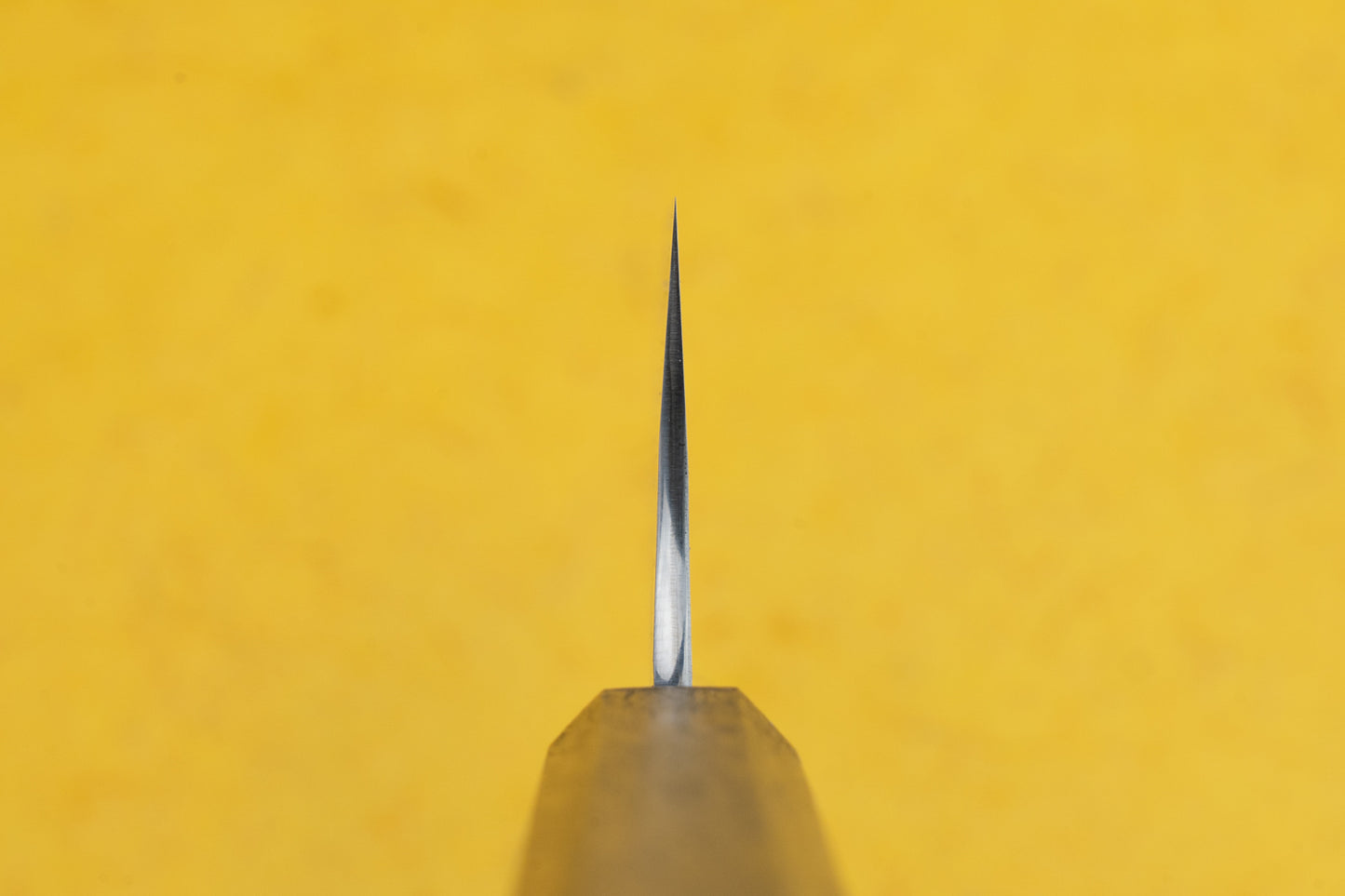 Yu Kurosaki Raijin Cobalt Special Wa Gyuto 240mm from Yu Kurosaki