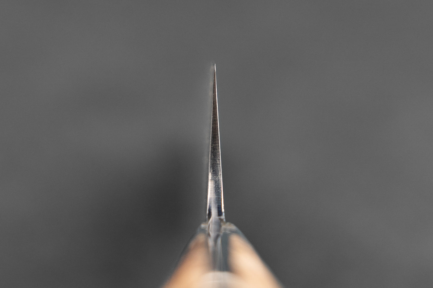 Takeshi Saji R2 Black Damascus Western Gyuto 180mm from Takeshi Saji