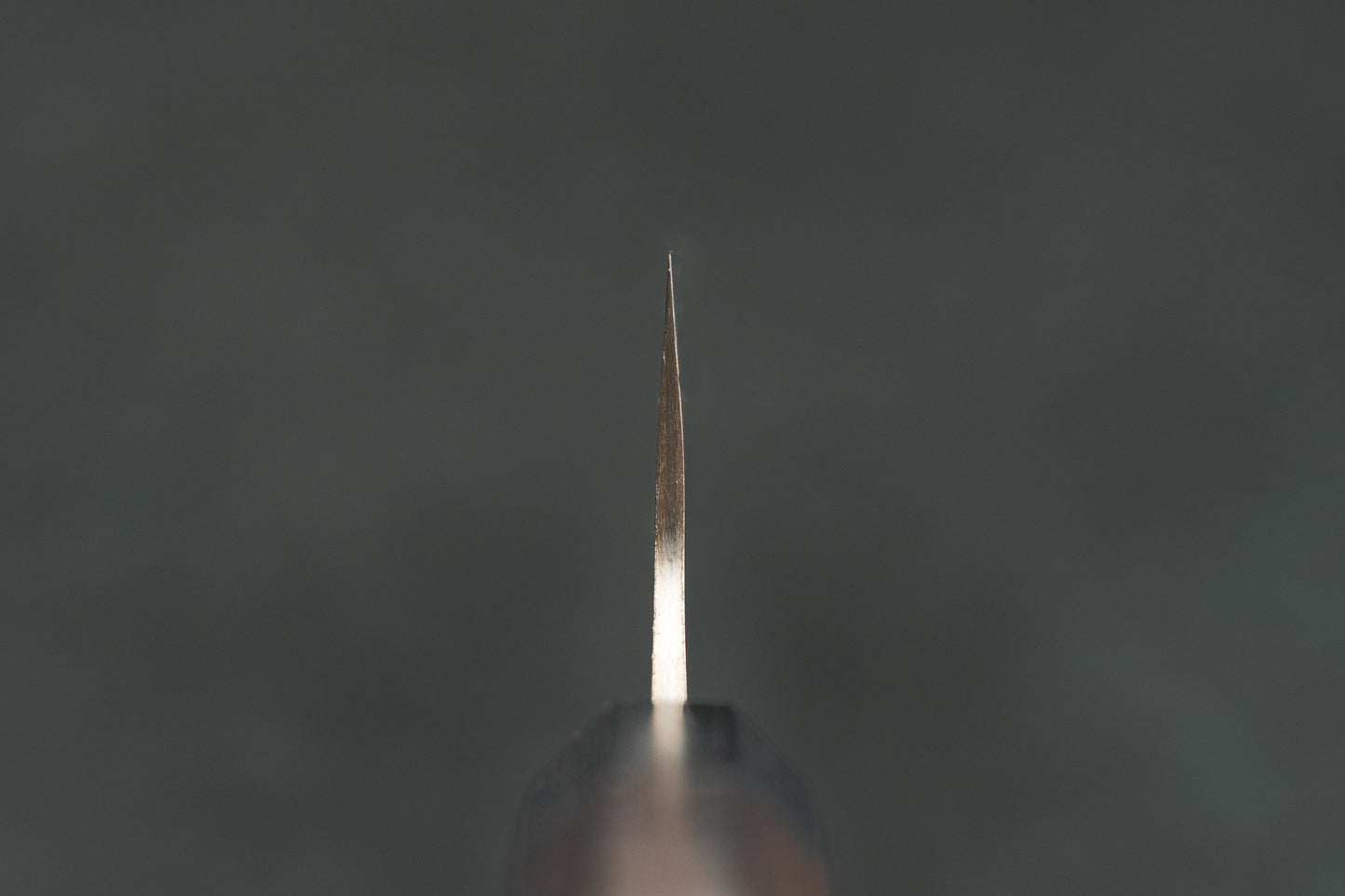 Takeshi Saji A2 Rainbow Damascus Wa Gyuto 180mm from Takeshi Saji