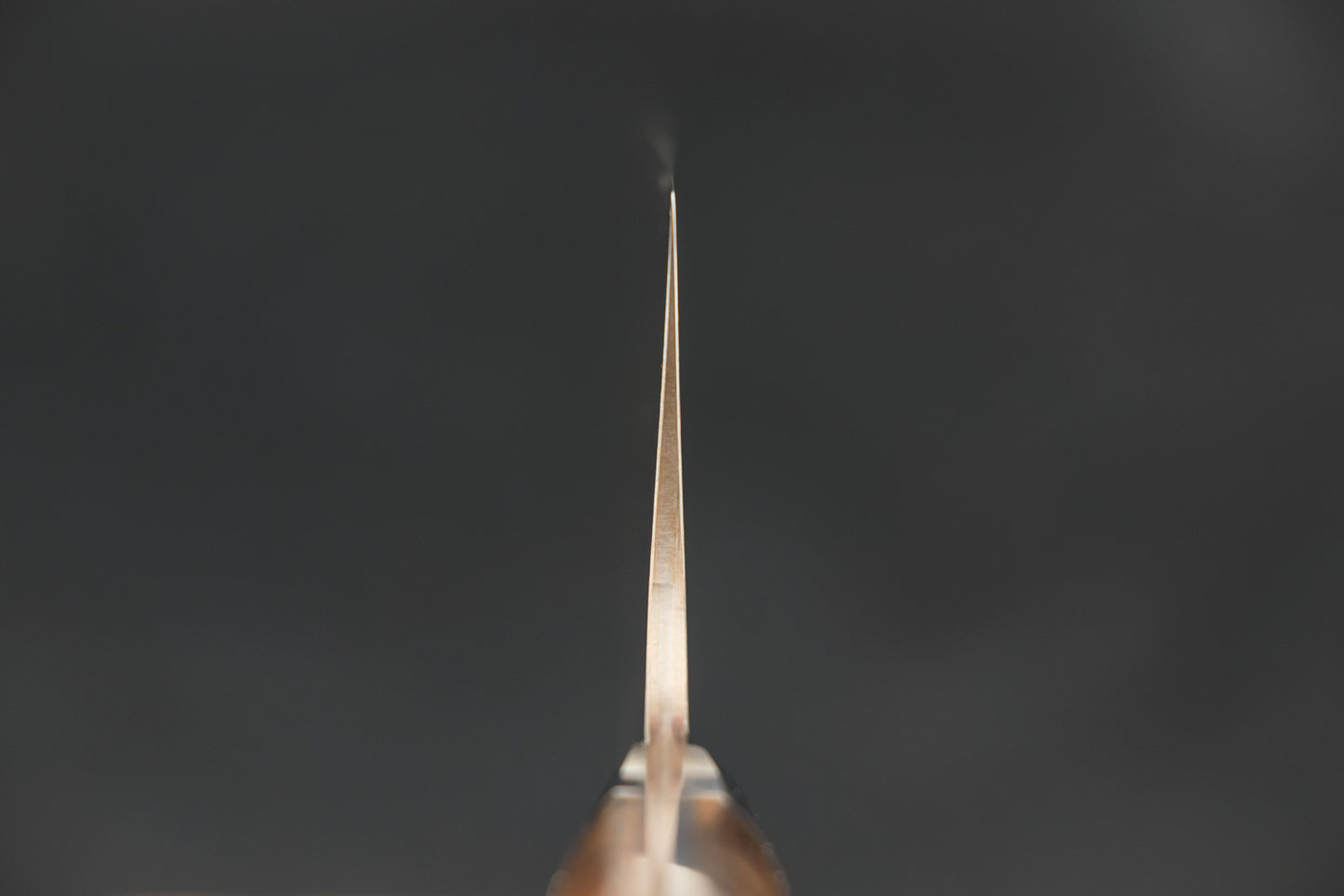 Takeshi Saji VG10W Rainbow Damascus Western Bunka 180mm from Takeshi Saji