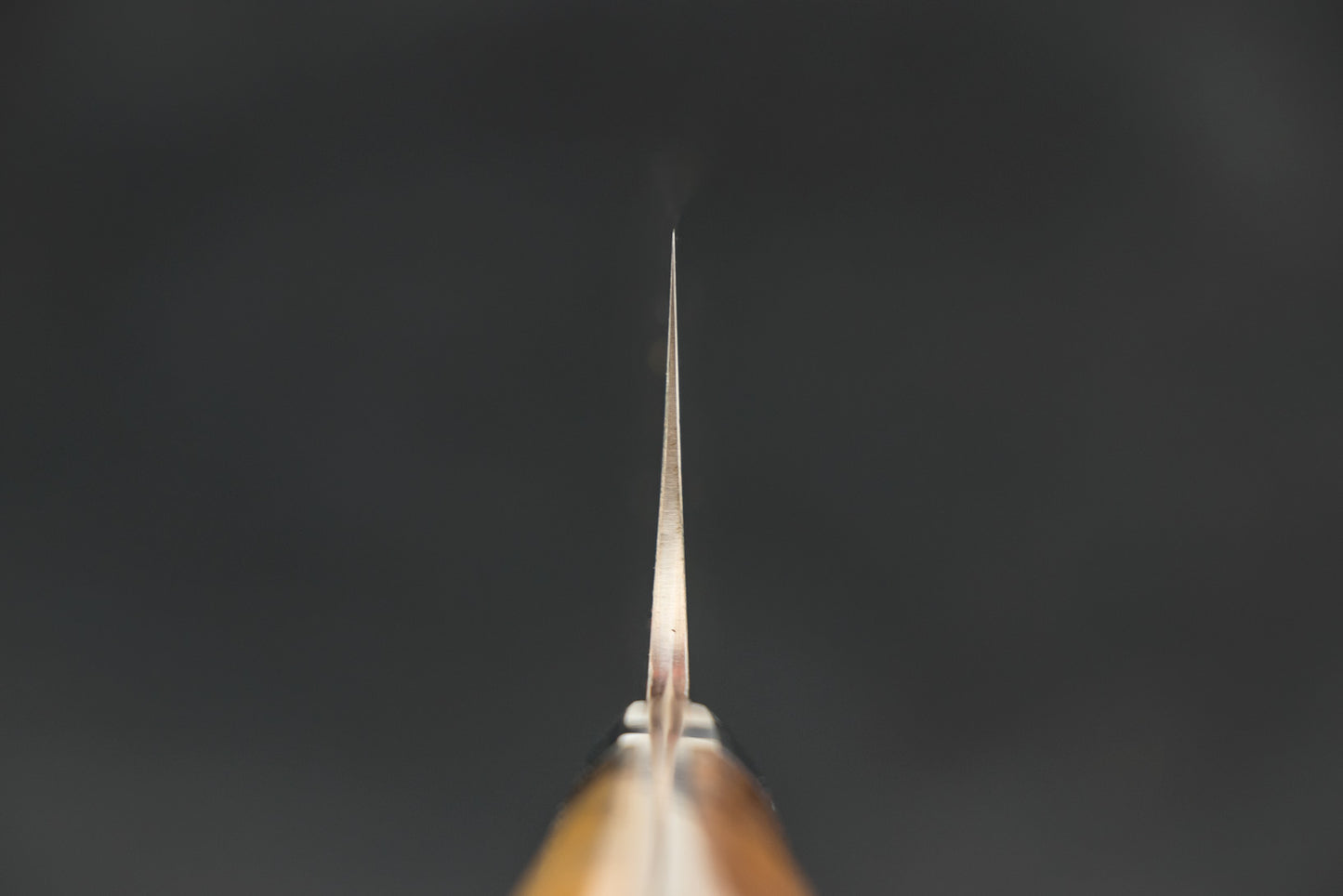 Takeshi Saji VG10W Rainbow Damascus Western Gyuto 210mm from Takeshi Saji