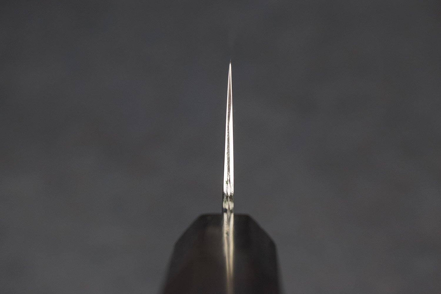 Sakai Takayuki Shironi Honyaki Gyuto 210mm from Sakai Takayuki