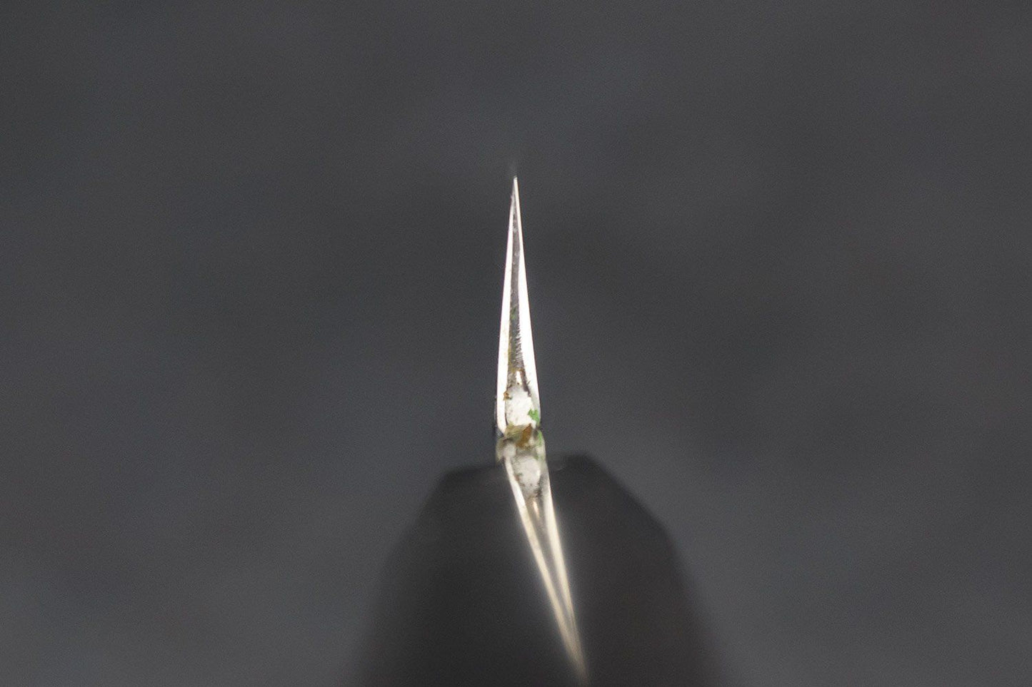 Sakai Takayuki Shironi Honyaki Yanagiba 270mm from Sakai Takayuki