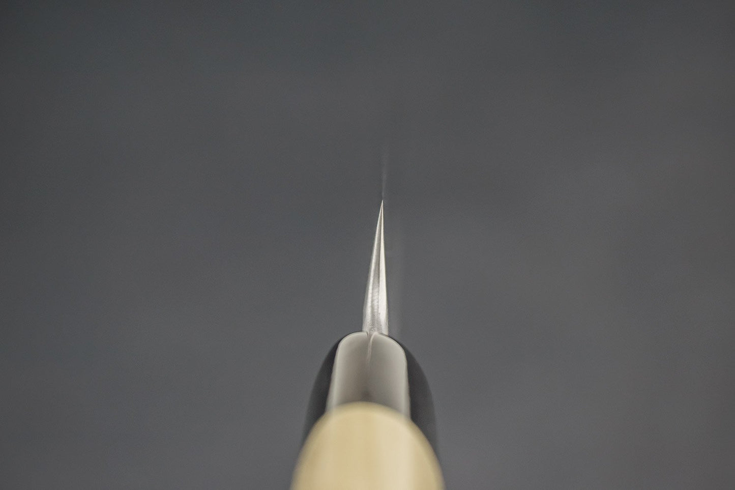 Shigefusa Kitaeji Yanagiba 210mm from Shigefusa