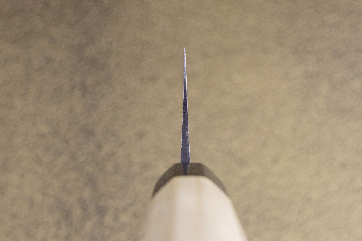 Masakage Shimo Gyuto 210mm from Masakage