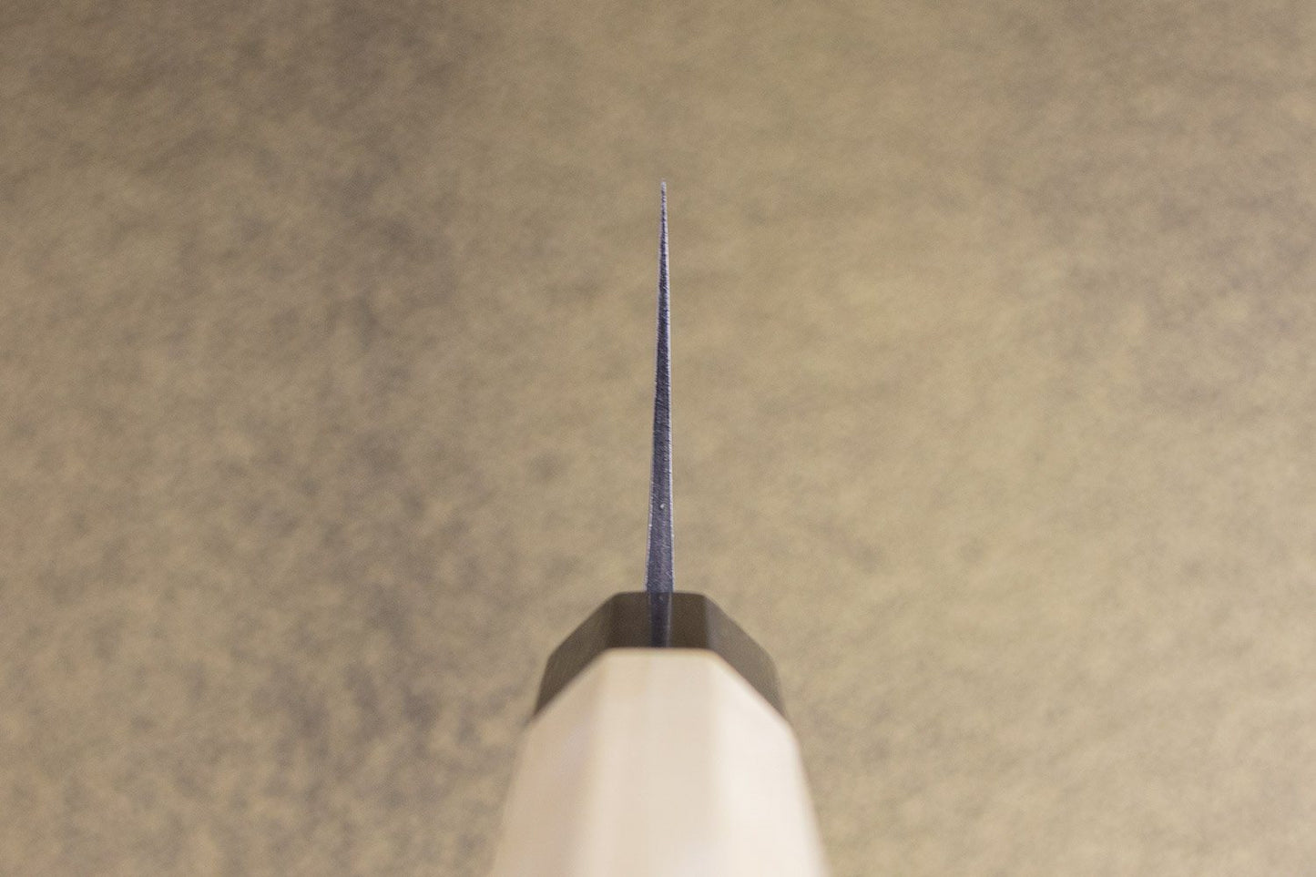 Masakage Shimo Gyuto 240mm from Masakage