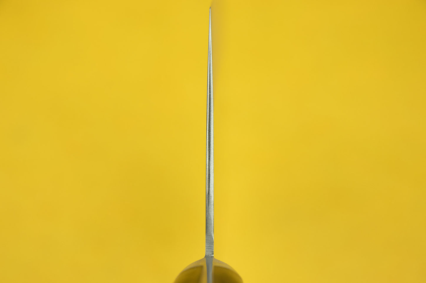 Sakai Takayuki INOX Chuka Bocho 195mm from Sakai Takayuki