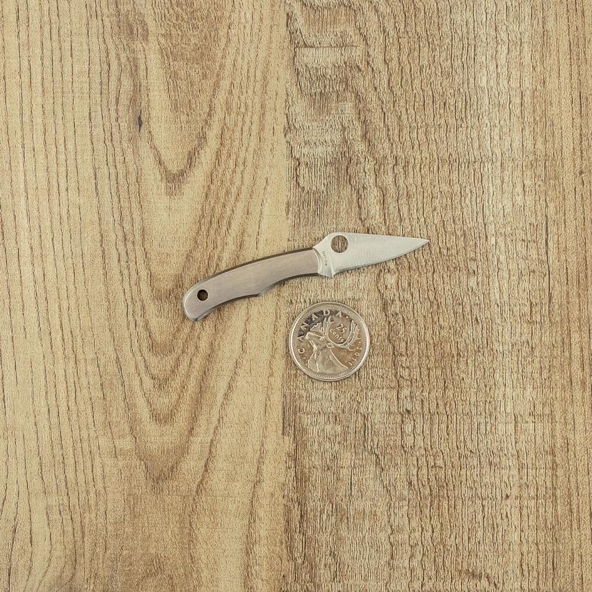 Spyderco Bug Stainless Pocket Knife from Spyderco