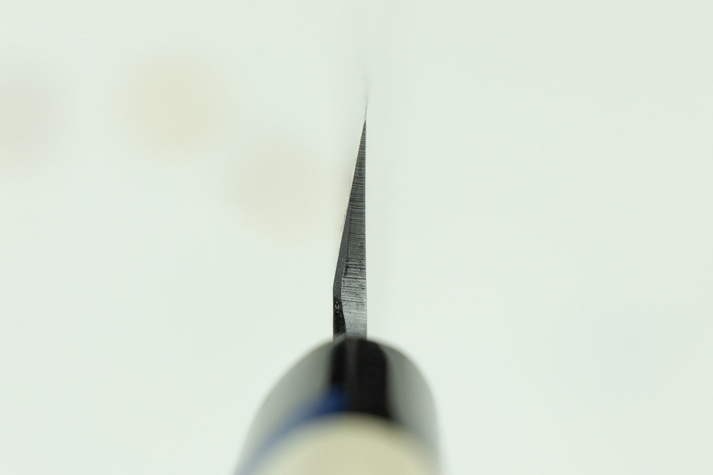 Sakai Takayuki AUS-8 INOX Yanagiba 240mm from Sakai Takayuki