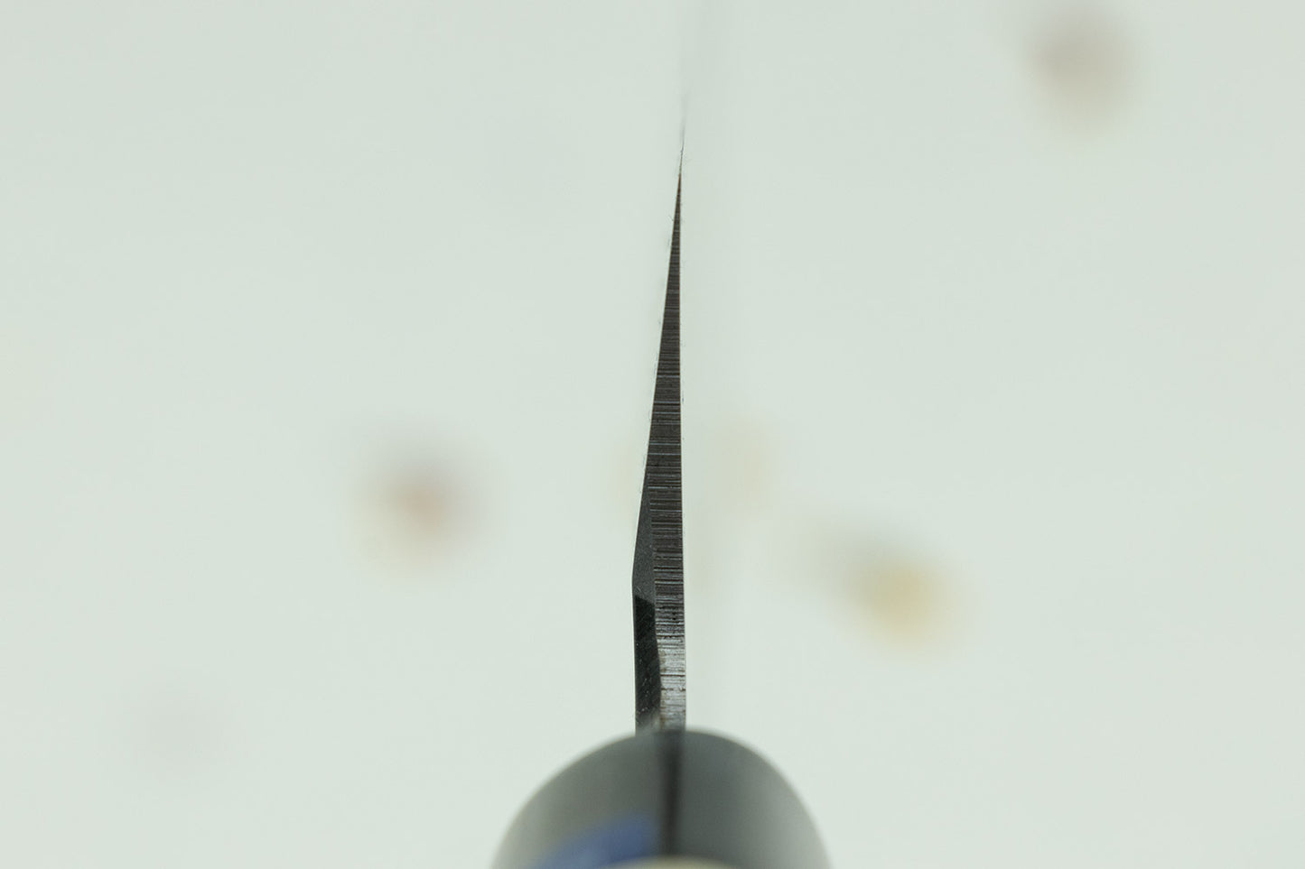 Sakai Takayuki AUS-8 INOX Usuba 180mm from Sakai Takayuki