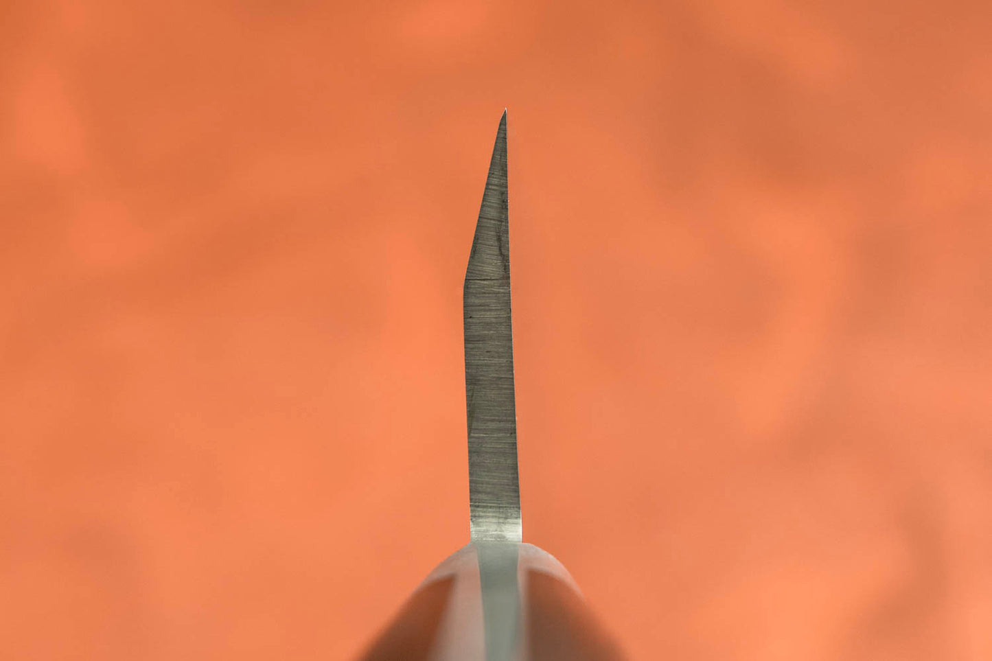 Sakai Takayuki SK4 Garasuki 180mm from Sakai Takayuki