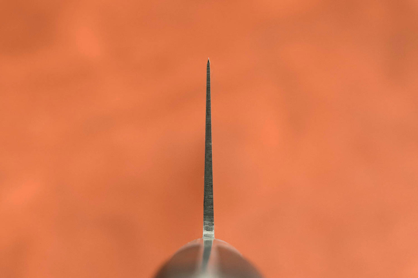 Sakai Takayuki SK4 Gyuto 240mm from Sakai Takayuki