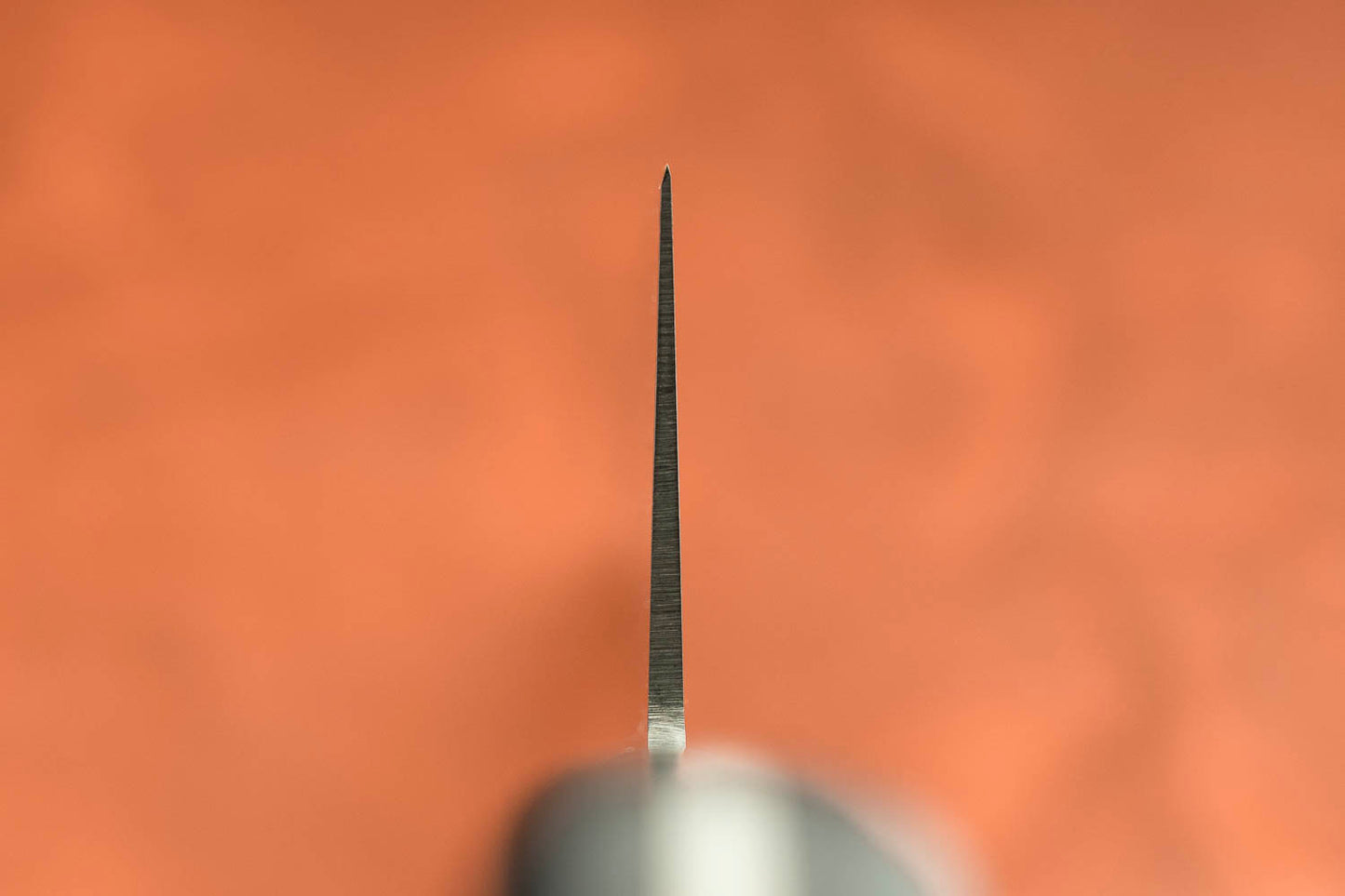 Sakai Takayuki SK4 Gyuto 270mm from Sakai Takayuki