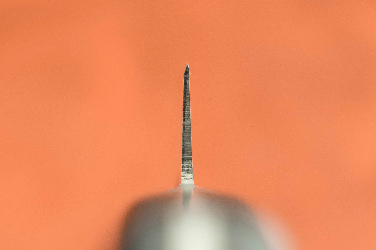 Sakai Takayuki SK4 Petty 120mm from Sakai Takayuki