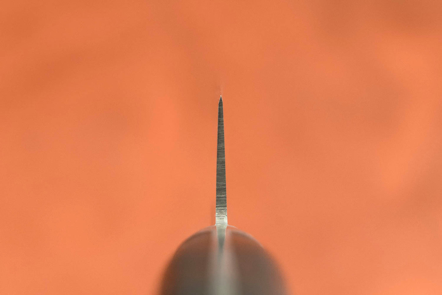 Sakai Takayuki SK4 Petty 150mm from Sakai Takayuki