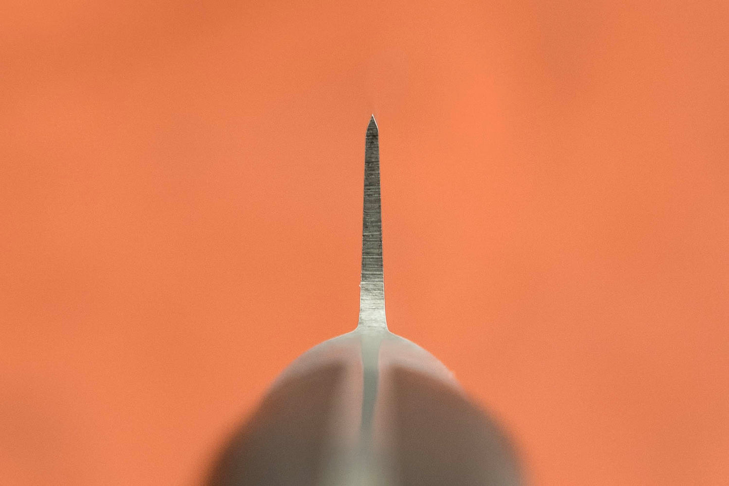 Sakai Takayuki SK4 Sujihiki 210mm from Sakai Takayuki