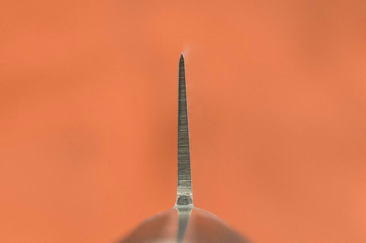 Sakai Takayuki SK4 Sujihiki 240mm from Sakai Takayuki