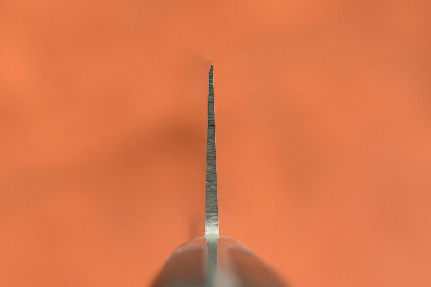 Sakai Takayuki SK4 Sujihiki 270mm from Sakai Takayuki