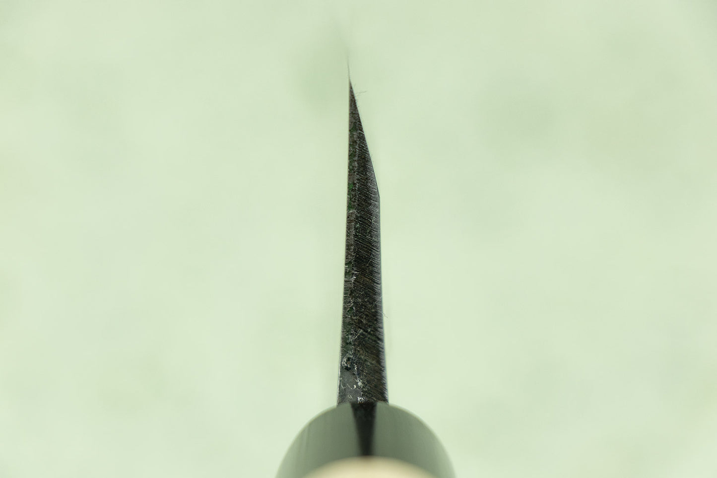 Sakai Takayuki Suigyu Kasumitogi Left Handed Deba 165mm from Sakai Takayuki