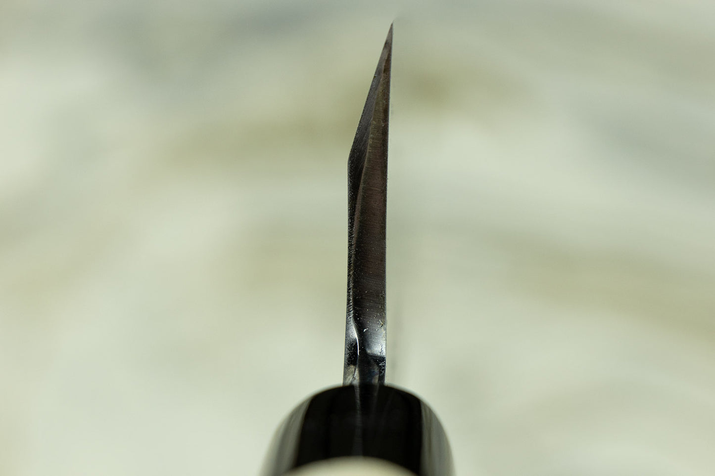 Sakai Takayuki Tokujo Shirogami Garasuki 180mm from Sakai Takayuki